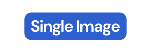 Single Image
